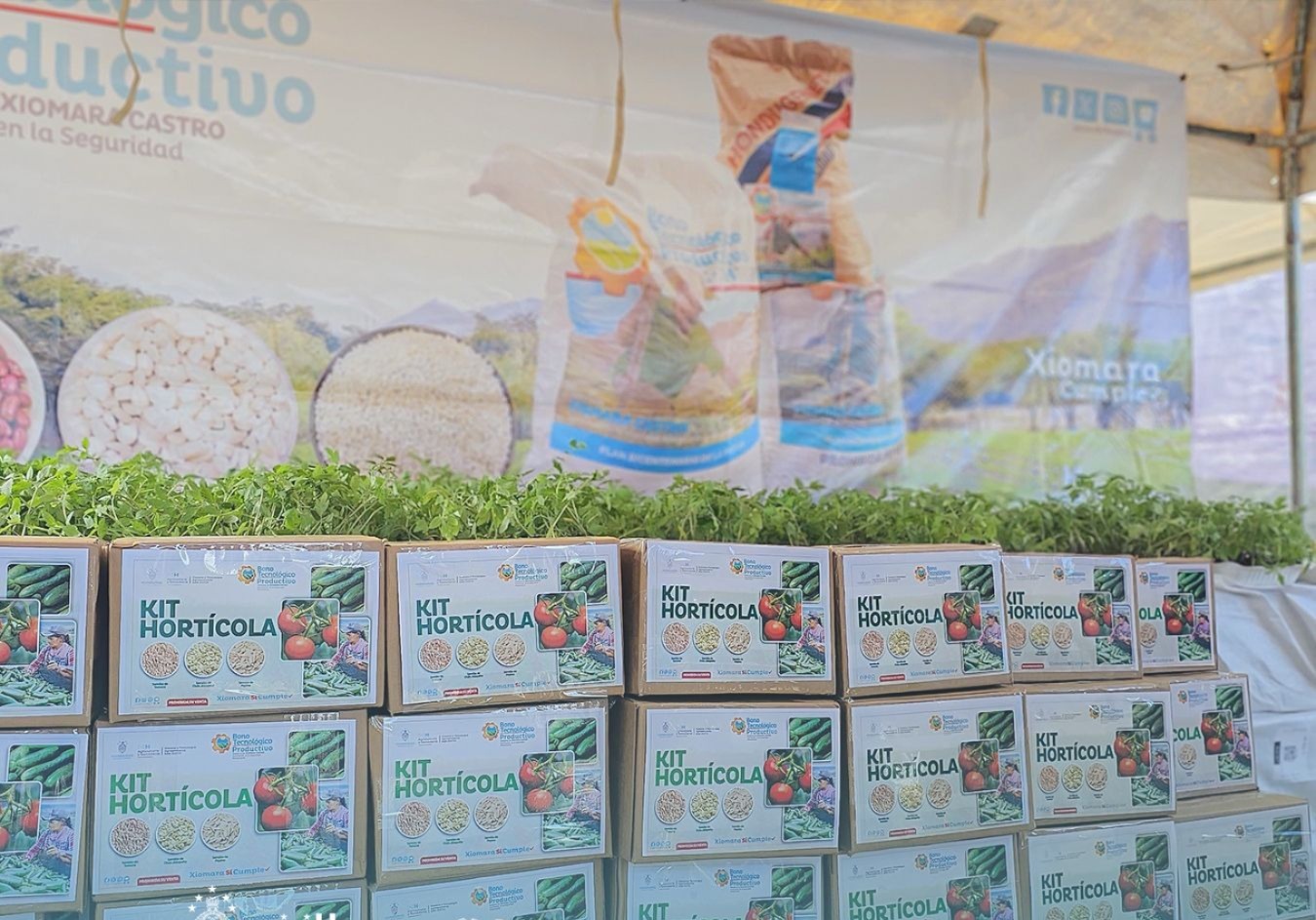 Bono Tecnológico Productivo beneficia a más de 1,000 familias productoras en Roatán, Islas de la Bahía